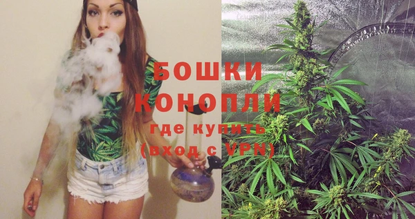 мдпв Россошь