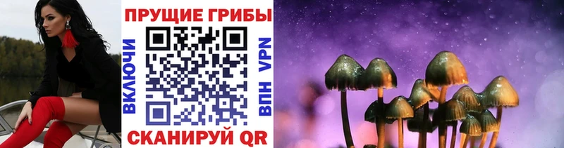 Псилоцибиновые грибы GOLDEN TEACHER  купить закладку  MEGA ссылки  Калининск 